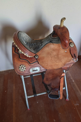 Tack ID: 570342 Team Steinhoff custom - PhotoID: 155459 - Expires 07-May-2026 Days Left: 90