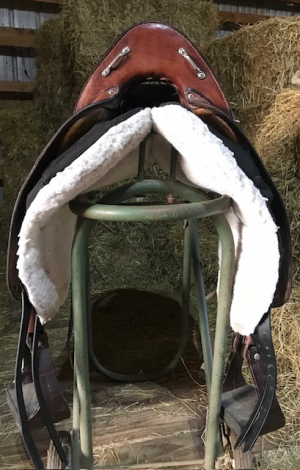 Tack ID: 570420 Patriot model true ORTHO-FLEX Saddle - PhotoID: 155568 - Expires 16-Jun-2026 Days Left: 87