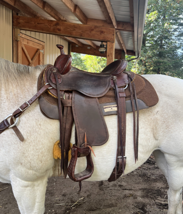 Tack ID: 570436 16” Clinton Anderson by Martin Saddlery - PhotoID: 155579 - Expires 27-Jun-2026 Days Left: 90