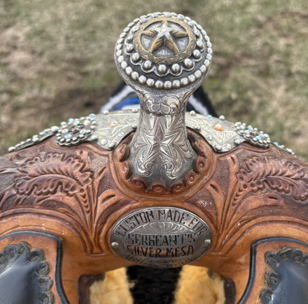 Tack ID: 570492 Silver Mesa Western Star Show Saddle Youth Child Kids - PhotoID: 155959 - Expires 10-Dec-2026 Days Left: 82