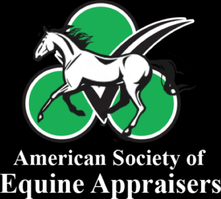 Tack ID: 570520 Equine Appraiser - PhotoID: 155654 - Expires 04-Nov-2026 Days Left: 180