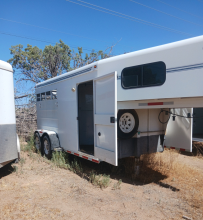 Tack ID: 570733 Saddles, Trailers, and Driving Harnesses - PhotoID: 155892 - Expires 13-Nov-2026 Days Left: 81