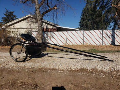 Tack ID: 570739 Horse Show Cart and Leather Harness - PhotoID: 155903 - Expires 17-Nov-2026 Days Left: 85