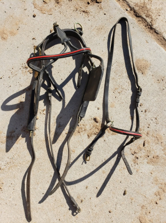 Tack ID: 570739 Horse Show Cart and Leather Harness - PhotoID: 155904 - Expires 17-Nov-2026 Days Left: 85