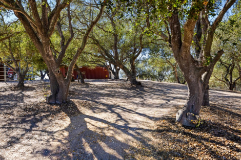 Tack ID: 570754 Hobby Horse Farm 15 minutes to Beach - PhotoID: 155914 - Expires 23-Nov-2026 Days Left: 74