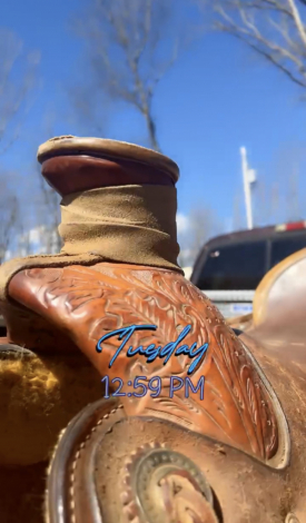 Tack ID: 570782 Wade custom corriente 18 tooled/roughout saddle - PhotoID: 155963 - Expires 10-Dec-2026 Days Left: 87