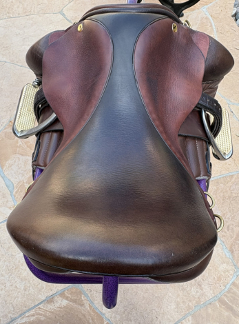 Tack ID: 570814 Hard-to-find Black Country Equinox Endurance Saddle: 17.5 - PhotoID: 156022 - Expires 22-Dec-2026 Days Left: 89