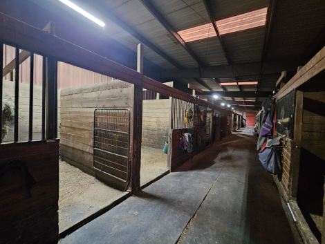 Tack ID: 570848 Full-Care Boarding | Indoor Arena | Easton, PA - PhotoID: 156088 - Expires 11-Apr-2027 Days Left: 179