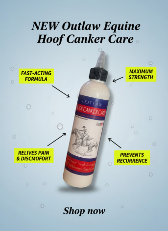 Tack ID: 570867 Outlaw Canker Care Hoof treatment - PhotoID: 156119 - Expires 18-Jan-2027 Days Left: 90